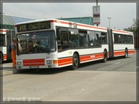 A11 1994
