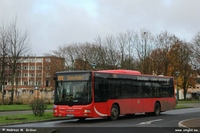 A21 2020 ex BVO