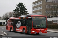 O 530 II 2007