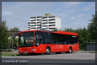 O 530 LE  2010