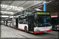 O 530 G II 2006