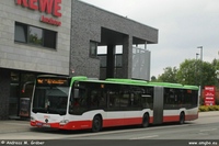 Citaro G C2 2019