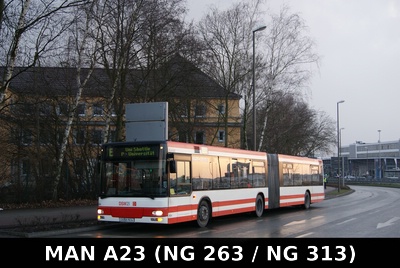 DSW21 A23