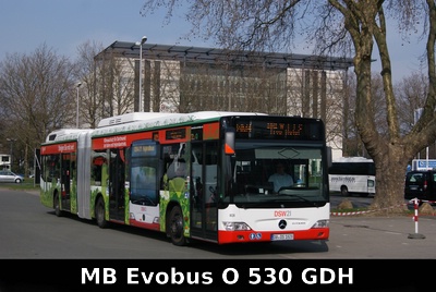 DSW21 O 530 GDH