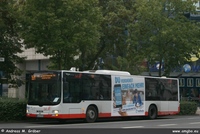 A21 2013
