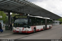 O 530 G 2006