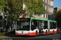 Citaro G C2 2019