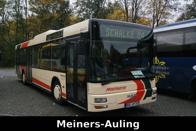 Meiners-Auling