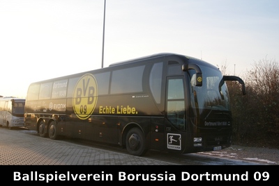 BVB
