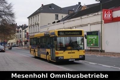 Mesenhohl