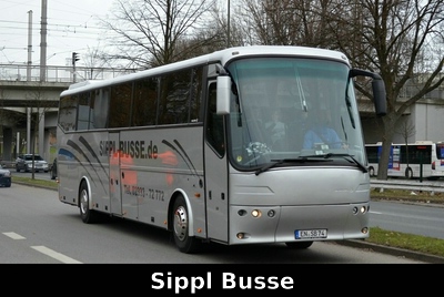 Sippl