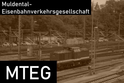 MTEG