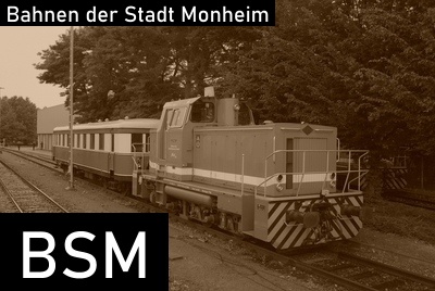 BSM