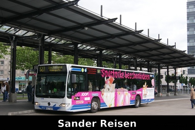 Sander
