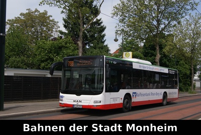 BSM