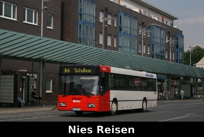 Nies