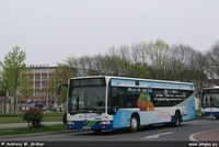 O 530 2003