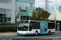 O 530 II 2007