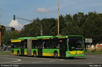 O 530 G 2019