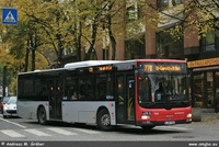 A37 2007