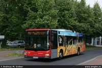 A37 2008