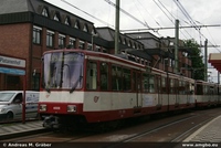 B80 D 1981