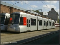 NF8 U 2006