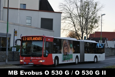 RLG O 530 G