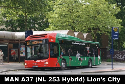 RLG A37