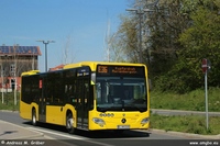 Citaro C2 2020