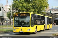 Citaro G C2 Spur 2020