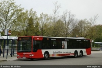 O 530 L II 2011