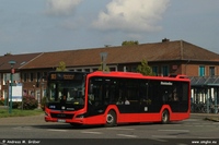 Lion's City 12 2023