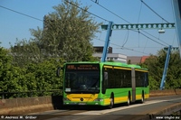 O 530 G II 2013
