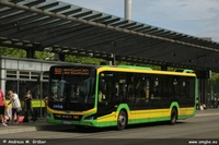 Lion's City 12 2021