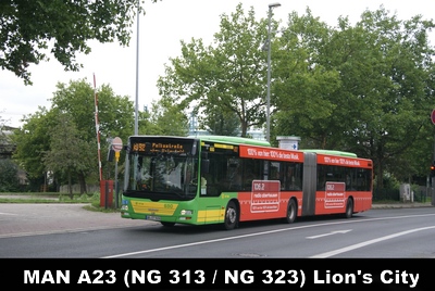 StOAG MAN A23 LC