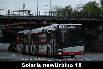 SWN newUrbino18