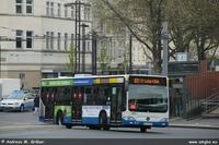 O 530 II 2013
