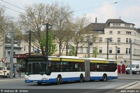 O 530 G 2015