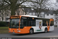 O 530 K 2010