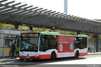 Citaro C2 2019