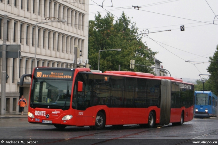 Klicken für Bild in voller Größe