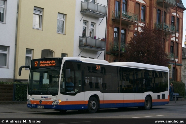 Klicken für Bild in voller Größe