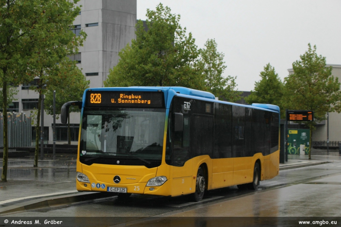 Klicken für Bild in voller Größe