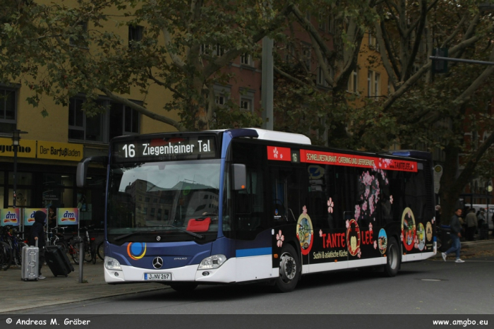 Klicken für Bild in voller Größe