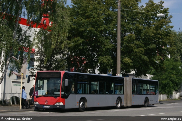 Klicken für Bild in voller Größe