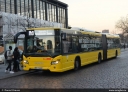 BVG_4449.jpg