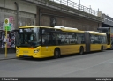 BVG_4465.jpg