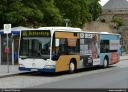 Dillschnitter_MYK-UD_215.jpg