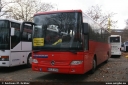 Grebe_KB-E_17133B_Dortmund_26_11_2011.jpg